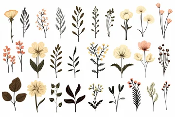 Fotobehang Set of tiny wild flowers boho and botanical plants line art illustrations set © pixeness