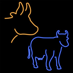 cow group of neon icons, vector illustration on black background.