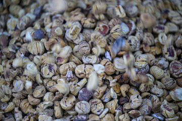 CASTAGNE SECCHI LA MACINA