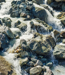 small shallow beautiful alpine river with a fast flow and stones