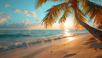 Sunset on the beach with a focus on palm tree. Palm tree closeup on sandy tropical beach as the waves are crashing and the sun is shining. Exotic vacation and blue skies - Powered by Adobe