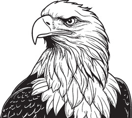 Premium Black And White Bold Eagle Drawing Vector Illustration