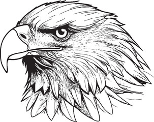 Premium Black And White Bold Eagle Drawing Vector Illustration