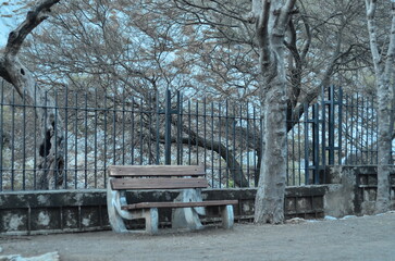 benches in the park.  a beautifull landscape