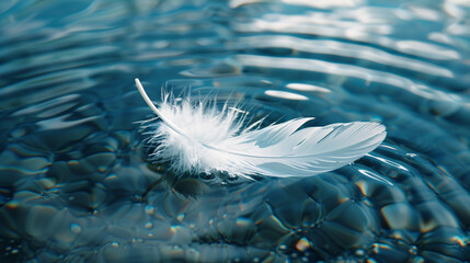 A white feather floating on the surface of a lake, calm, peaceful, balance concept