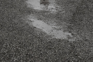 Puddle in the park after the rain 