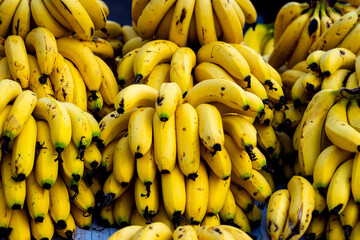 Bundle of Bananas for Sale