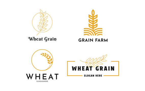Set of wheat agriculture logo design creative idea	