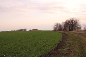 A grassy field with trees and a hill in the background