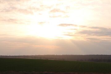 Fototapeta premium A field with a sunset in the background