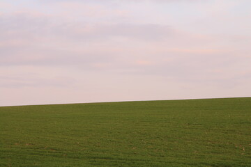 Fototapeta na wymiar A field with a pink sky