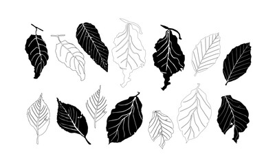 seamless pattern. seamless pattern leaf designs. leaf collection