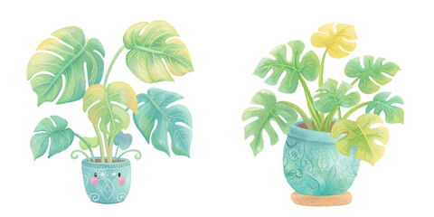 cute plant watercolour vector illustration