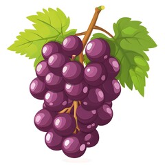 Fototapeta premium Cartoon minimalist simple grape illustration on clean white background, isolated grapes berry design 