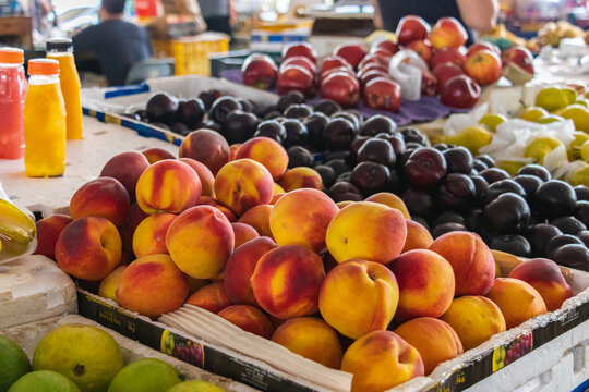 Typical tropical foods from Brazilian cuisine. Mango, orange, pineapple, chestnuts, guava, cheese and coffee.