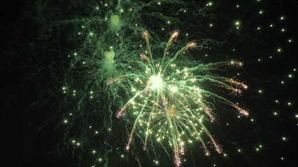 Fireworks explode leaving trails of shimmering stars in black sky at party. Colorful fireworks display with bursts of brilliant patterns in dark sky. Fireworks show at end of public holiday outdoors