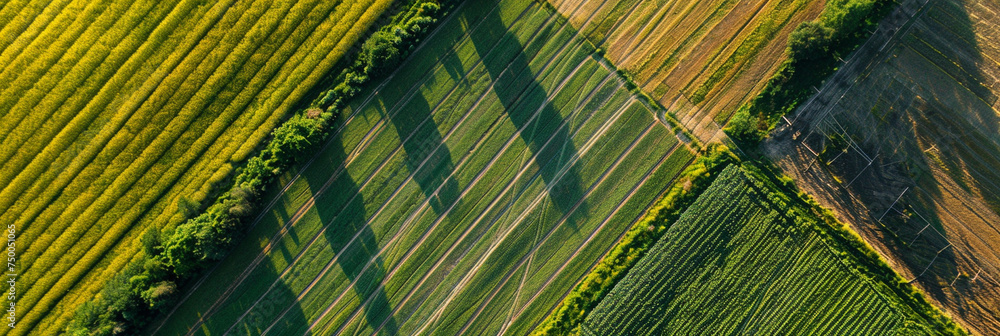 Poster aerial close-up of geometric patterns in crop fields, showcasing the meticulous planning and precisi