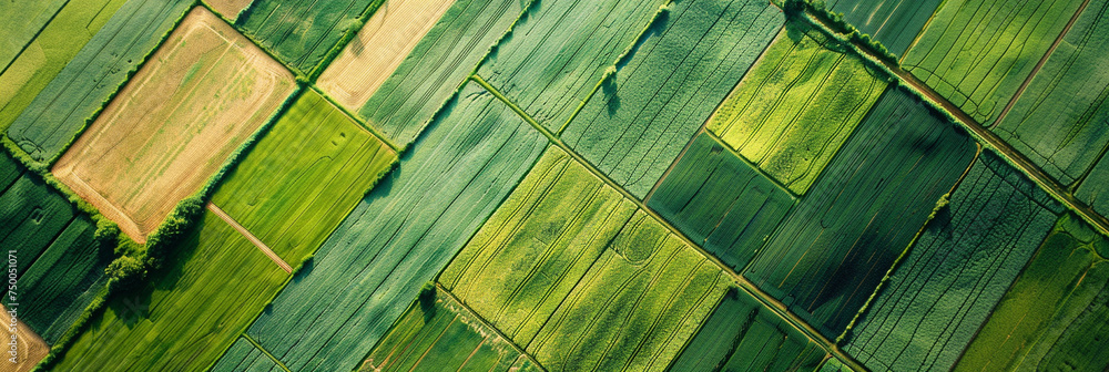 Poster aerial close-up of geometric patterns in crop fields, showcasing the meticulous planning and precisi
