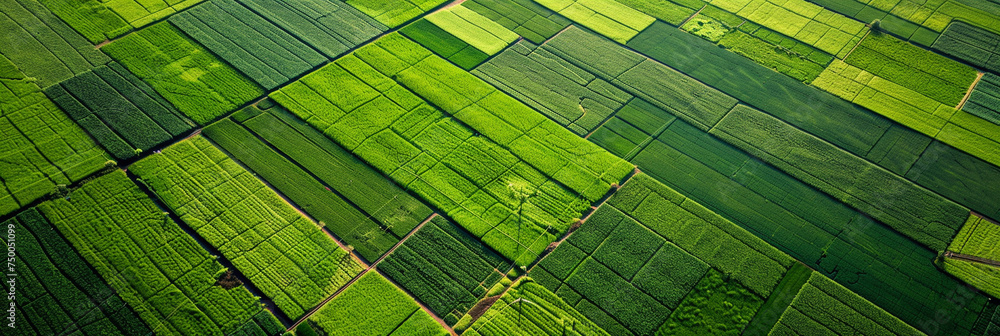 Poster aerial close-up of geometric patterns in crop fields, showcasing the meticulous planning and precisi