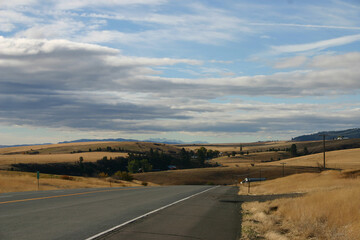 photo of camas prairier farm fields in Idaho County taken from highway 95 backed by white clouds against a blue sky