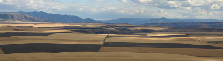 photo of camas prairier farm fields in Idaho County taken from highway 95 backed by white clouds against a blue sky