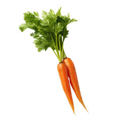 Fresh Carrot with Green Tops PNG, Transparent Image without background, Concept of healthy eating and organic farming