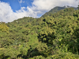 Obraz premium The green mountains of the Sierra Nevada. Minca. Colombia.