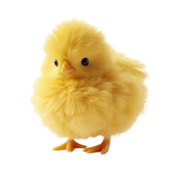 Obraz premium Fluffy Yellow Chick PNG, Transparent Image without background, Concept of springtime, Easter, and farm animals