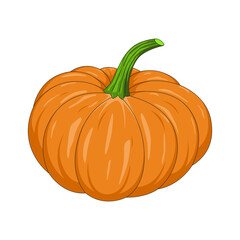 Realistic pumpkin isolated on a white background. Pumpkin for Halloween. Vector illustration.
