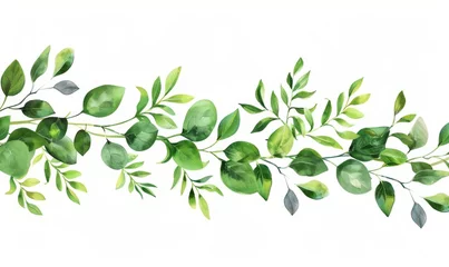 Poster olive branch isolated on white © lc design