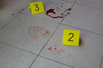 Evidence markers placed near traces of blood