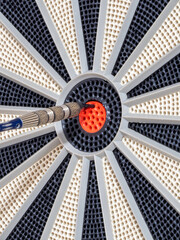 dart board with darts. dart in the target. concept hitting the target