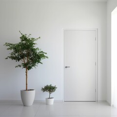 White Room With Two Potted Plants and a Door
