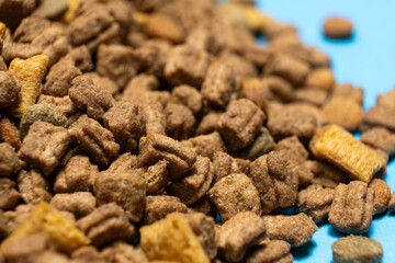 Dry food for kittens and cats close-up. A complete cat diet