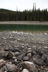 Obraz na płótnie Canvas Views around Athabasca River at Wapiti Campground near Jasper - Alberta - Canada
