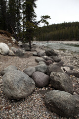 Views around Athabasca River at Wapiti Campground near Jasper - Alberta - Canada