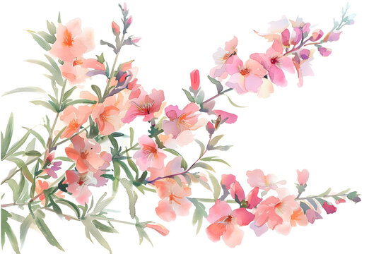 flowers Snapdragon watercolor isolated on transparent background. PNG file