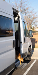 side of a camper van with the dog getting inside, and views of a park. camper van life