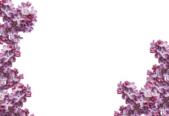 Floral frame blooming with pink and purple flowers, including lilacs