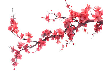 A Cherry Blossom watercolor isolated on transparent background. PNG file