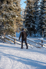 Cross country skiing in Lapland Finland