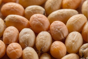 close-up of dry chickpeas
