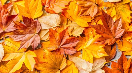 Naklejka na ściany i meble a carpet of colorful fall foliage creating a warm seasonal background