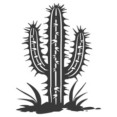 Silhouette cactus plant black color only