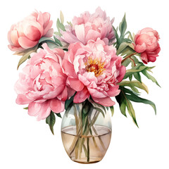 Bouquet of peony flowers in a clear vase watercolor illustration clipart isolate on transparent background	