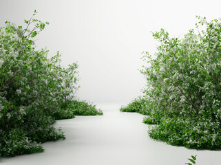 Obraz premium walkway with small plant and grass