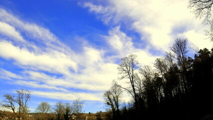 malerischer Blick in den blauen Himmel mit weißen Wolken umrahmt von kahlen Bäumen im Frühling