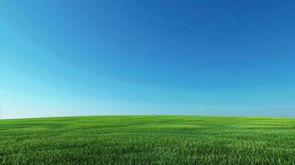 Fototapeta na wymiar blue sky over a green field