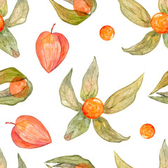 Watercolor physalis seamless pattern on white background