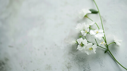 Beautiful, simple, pure white flowers, fresh and elegant background image